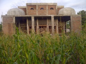 Masjid yang sudah bisa digunakan di tengah ilalang kebun jagung