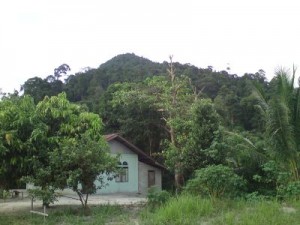View pesantren dengan latar belakang bukit tinggi