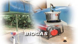 ilustrasi-biogas