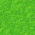 bg_hidorid