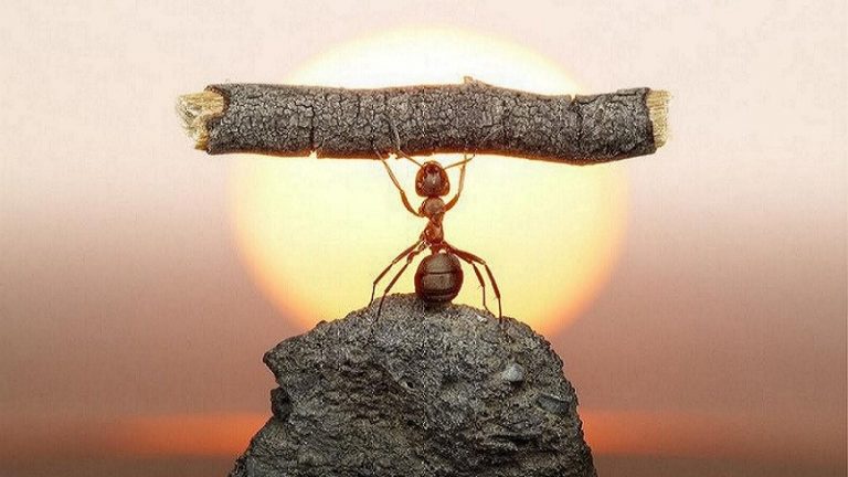 Bekerja Keras adalah Ibadah