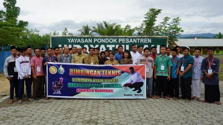 Santri Hidayatullah Manokwari Dapat Bimtek Budidaya Ayam