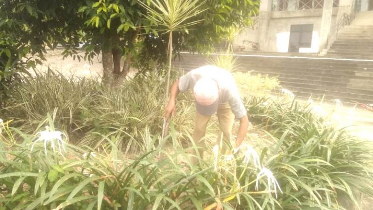 Orangtua si Pembawa Cangkul dan Hikmah Keajaiban Sedekah