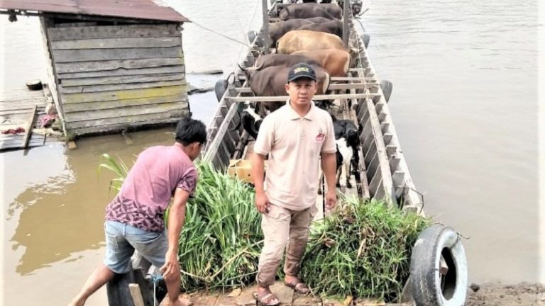 Qurban Berkah Nusantara BMH Mulai Masuk Pedalaman