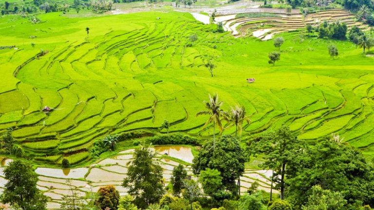 Berislam dengan Beriqro’