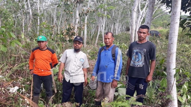 Pohon Sengon Berdampak Positif Bagi Pesantren Hidayatullah Balikpapan