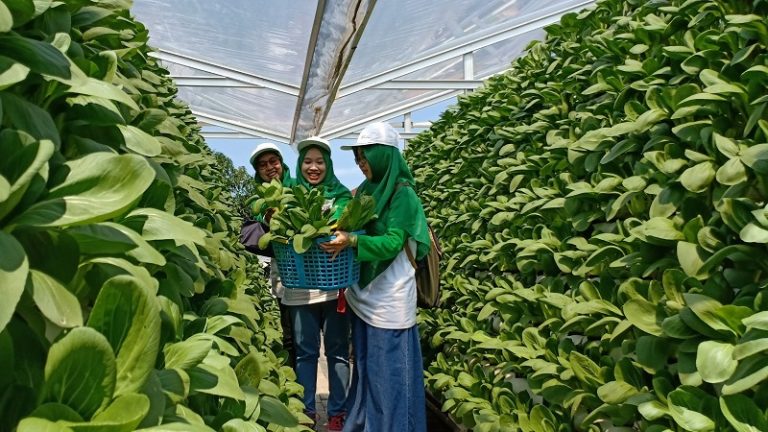 Kebun Ponpes Hidayatullah Depok Terapkan Teknologi 4.0