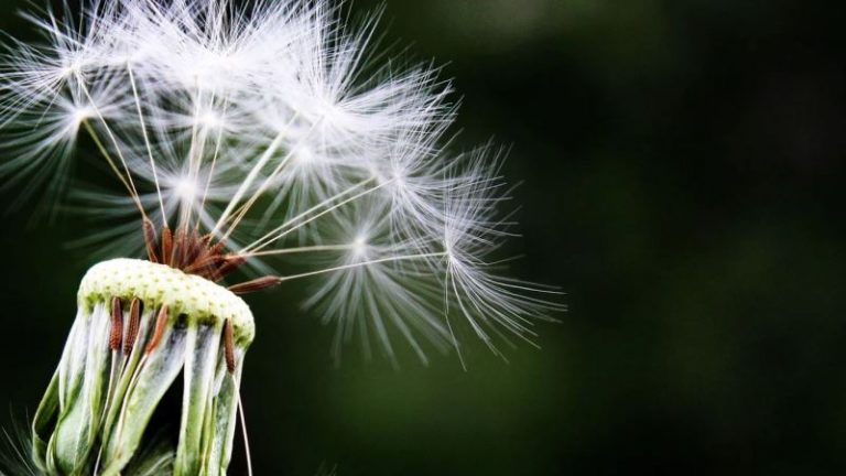 Sempurnanya Ajaran Islam Mengajarkan Pendidikan Seks pada Anak