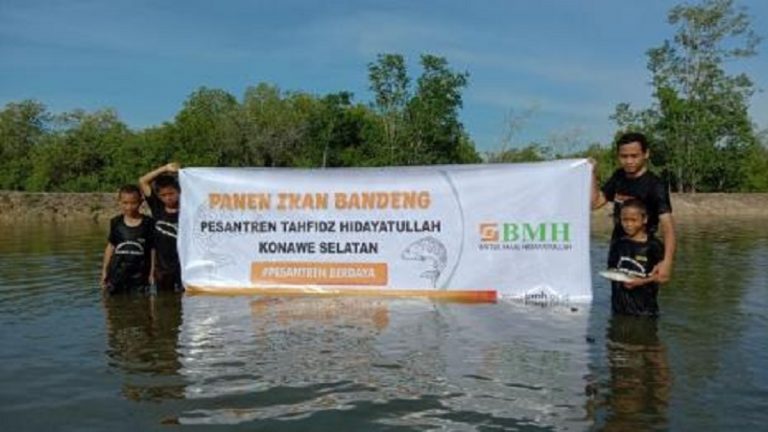 Santri Tahfizh Kon-Sel Panen Hasil Budidaya Ikan Bandeng