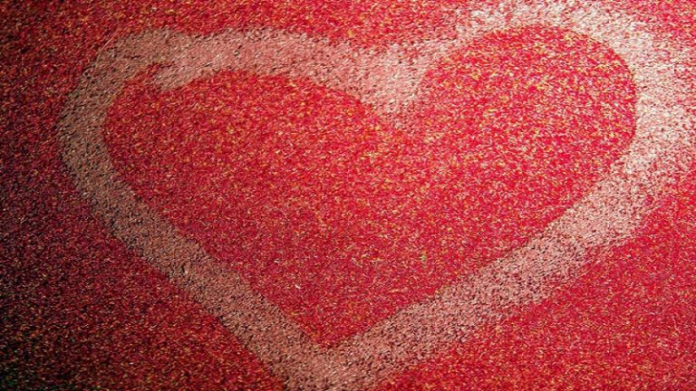 Hidup, Dengan Menghidupkan Hati