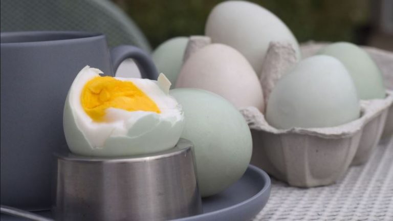 Kampus Hidayatullah Kaur Buka Unit Usaha Telur Asin, Maukah?