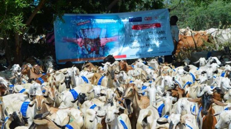 Refkesi Qurban: Bukan Daging tapi Pengorbanannya