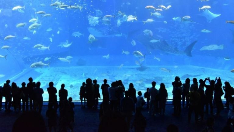 Allah Sang Pemberi Rezeki