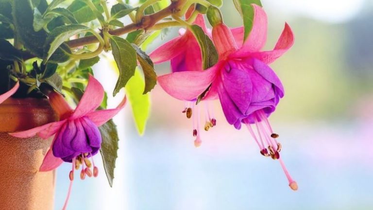 Setelah Berilmu, Lengkapi dengan Akhlak