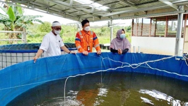 Program Bulatih Budidaya Maggot Lele Tumbuhkan Jiwa Wirausaha Santri