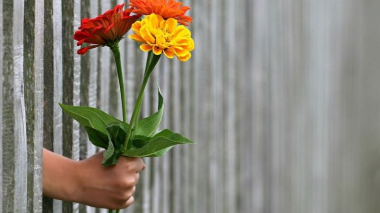 Mengharap Kebaikan Bagi Orang Lain