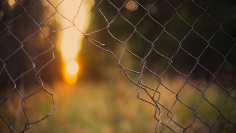 Selamatkan Negeri Ini!