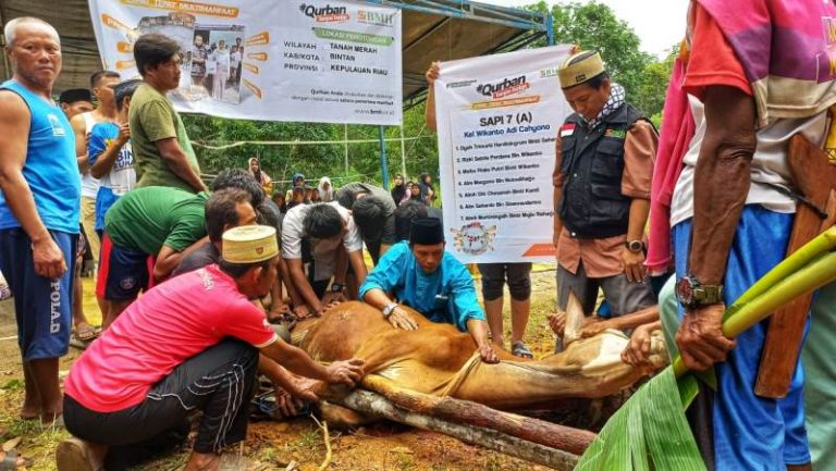 BMH Wujudkan 30 Tahun Penantian Hewan Qurban Warga Tanah Merah