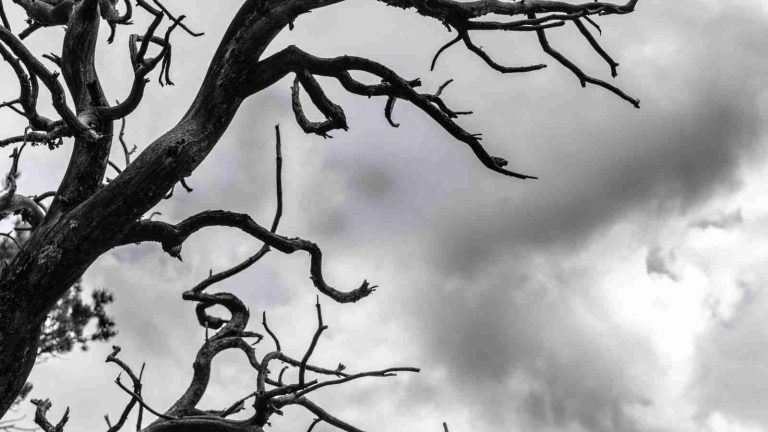 Inilah 4 Orang Jahat di Mata Allah