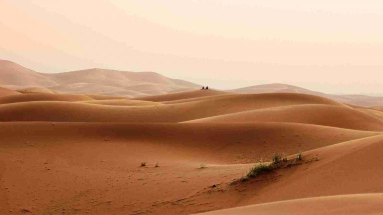 Teladan Ketekunan untuk Hidupkan Warisan Kenabian