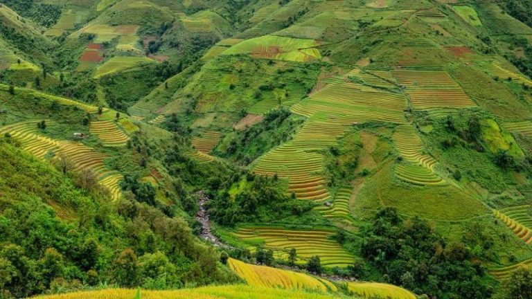 Dengan Akhlak Ikhtiar Memelihara Eksistensi Negeri
