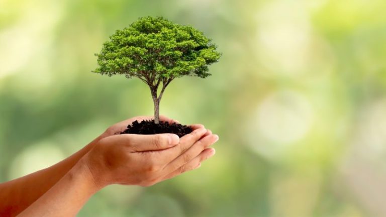 Jadilah Khalifah Allah di Muka Bumi