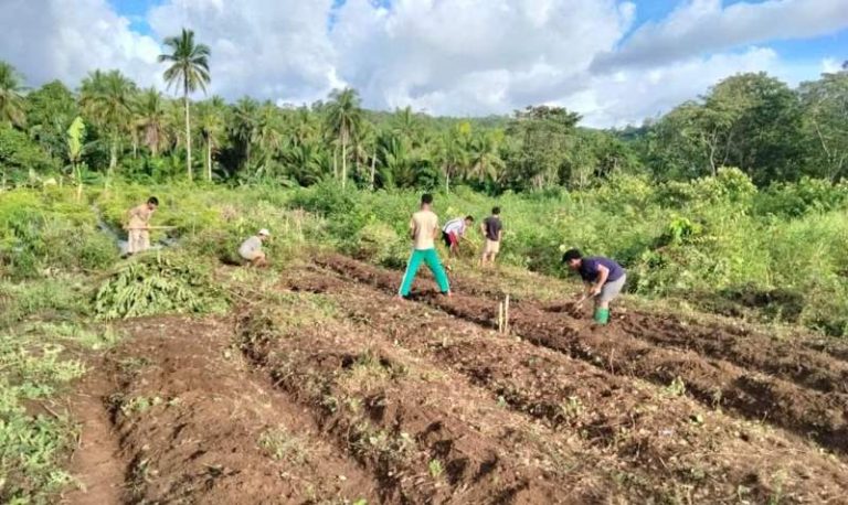 Kreatifitas Santri Hidayatullah Morotai Atasi Kelangkaan Air sebab Kemarau