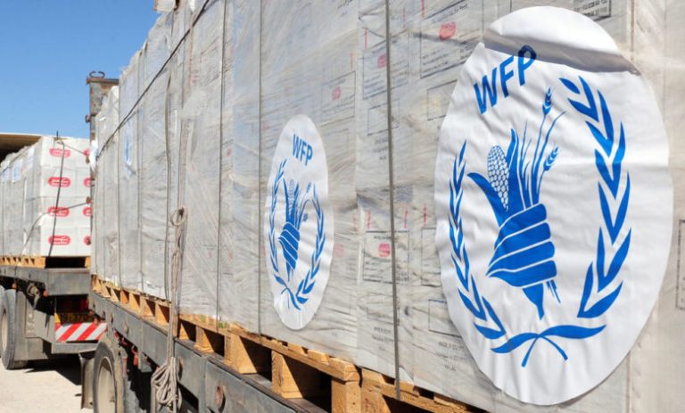 Warga Gaza Utara Makan Pakan Ternak karena Kelaparan, WFP Malah Tunda Kirim Bantuan