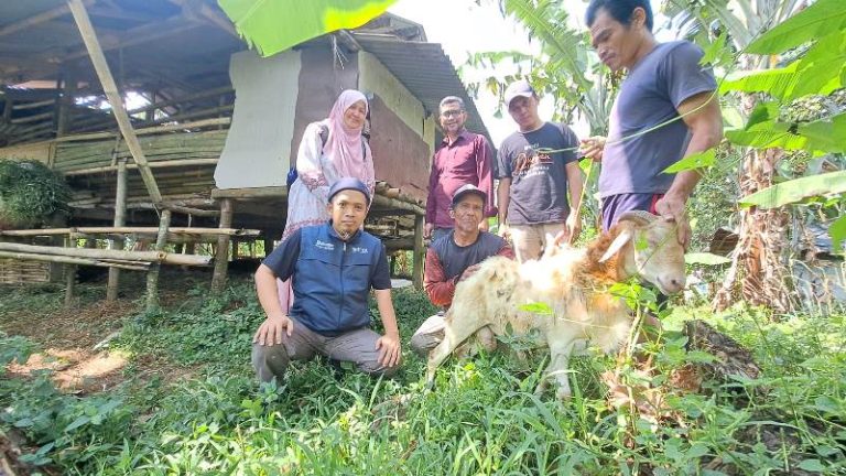 Penguatan Target Penyaluran Qurban, Baznas RI Kunjungi Peternak Binaan BMH di Kampung Suka Mulih