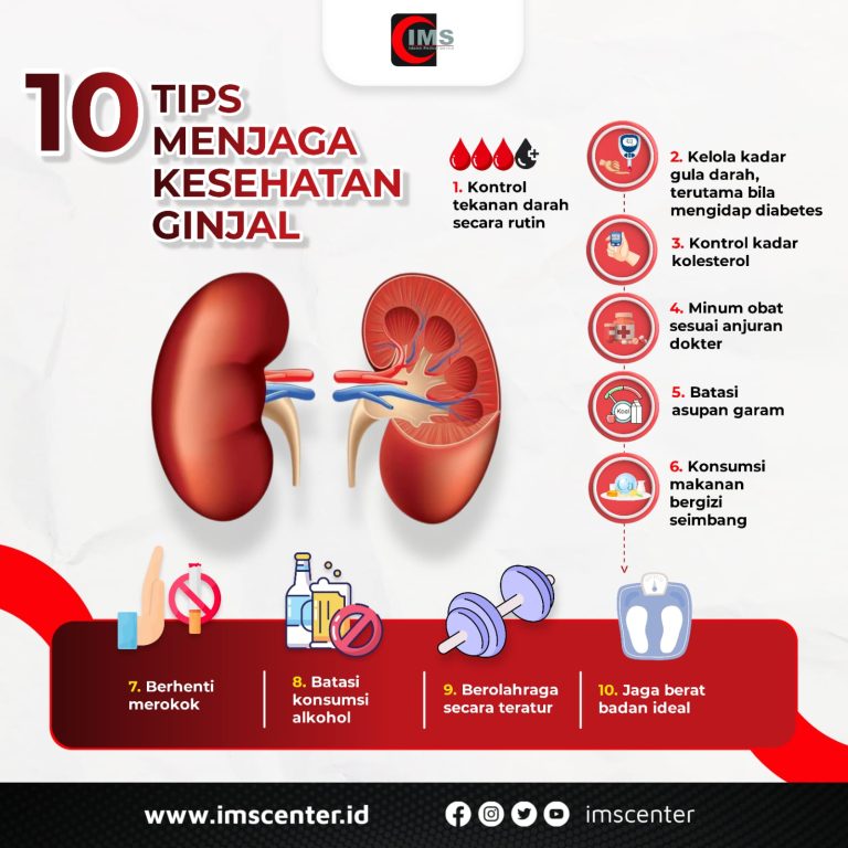 [INFOGRAFIS] Inilah 10 Tips Agar Ginjal Sehat sebagai Organ Vital dalam Tubuh