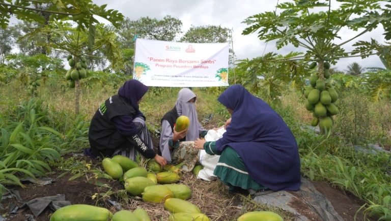 Kebun Ponpes Al Kahfi Putri Upaya Swasembada Kebutuhan Pangan Mandiri