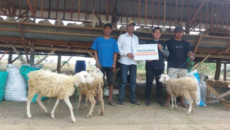 Simpul Sinergi Berdayakan Mustahik Kampung Zakat Melalui Bantuan Ternak Domba