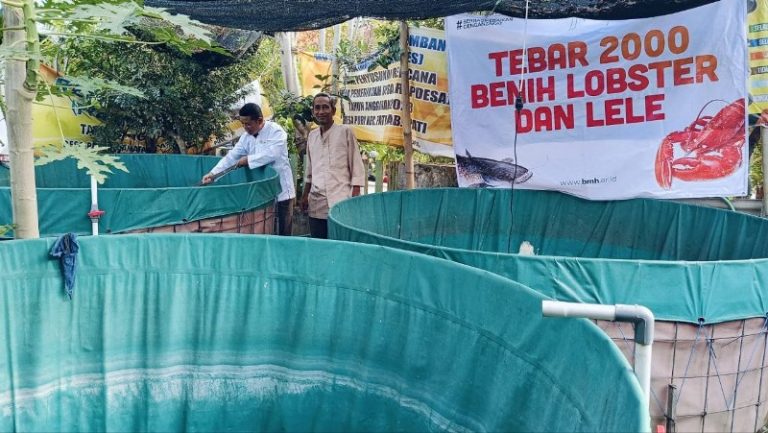 Pemberdayaan Ekonomi Masyarakat Berbasis Lokal melalui Budidaya Lobster dan Lele
