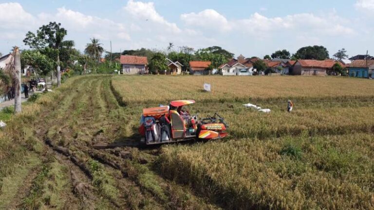 Ketahanan Pangan Pesantren dan Kolaborasi Umat Menumbuhkan Pendidikan Qurani