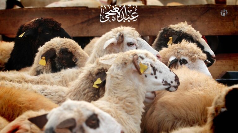 Berkurbanlah, Jangan Jadi Kurban