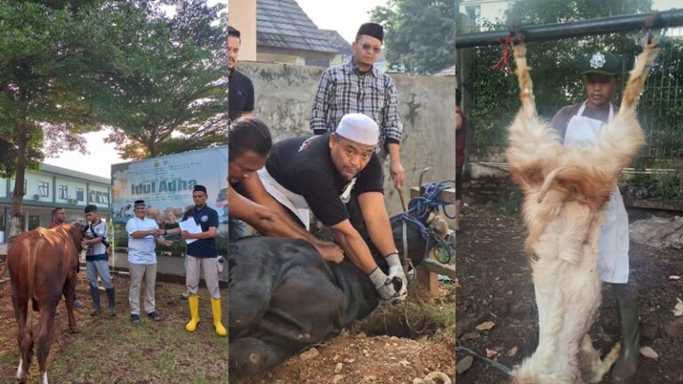 LSH Hidayatullah dan Kampung 99 Pepohonan Sukses Kawal Penyembelihan Halal di Empat Titik Strategis