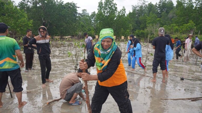 Penanaman 1000 Pohon Mangrove di Torobulu, Aksi Hijau Sambut Munas VI Hidayatullah