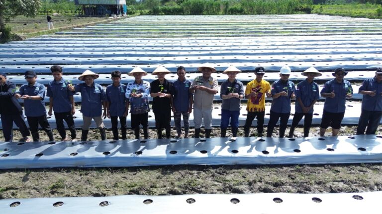 Program Penanaman Perdana Petani Milenial Hidayatullah Papua Barat Resmi Dimulai