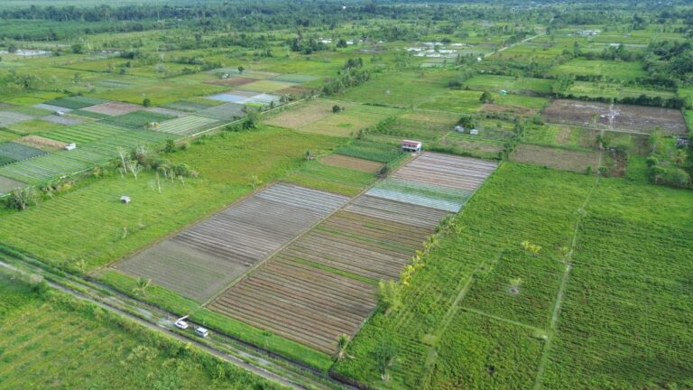 Sekjen DPP Hidayatullah Tinjau Program Petani Milenial di Manokwari untuk Dorong Kemandirian Pangan