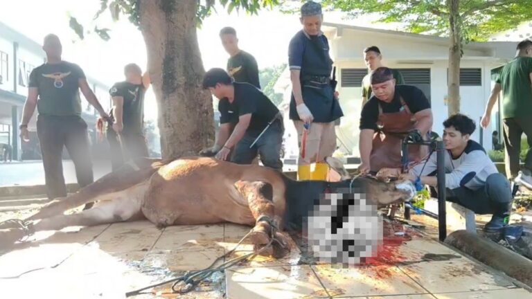 LSH Hidayatullah Layani Penyembelihan dan Pengelolaan Qurban di Berbagai Titik