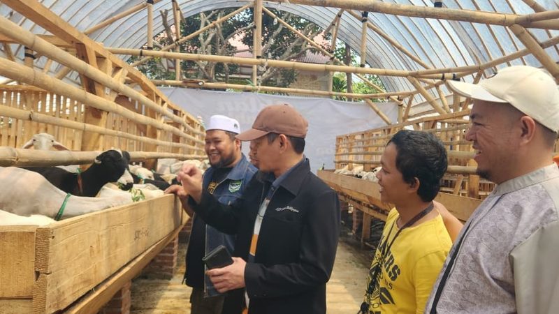 Gambar saat ini tidak memiliki teks alternatif (alt). Nama berkas: Hidayatullah-Cilengkrang-Launching-Domba-Farm-Awali-dengan-62-Ekor-Domba.jpeg