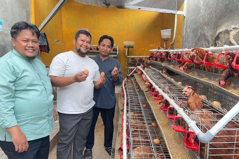 IQ-FARM: Cara Rumah Qur’an di Jabar Cetak Santri Mandiri Lewat Bisnis Ayam Petelur