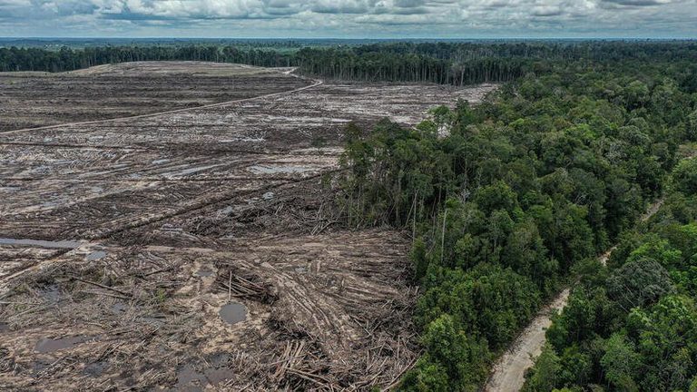 Dari Banjir, Karhutla, hingga Erupsi Krakatau: Saatnya Kita Gotong Royong Pulihkan Luka Indonesia